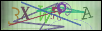 Imagen de Registro