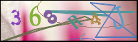 Imagen de Registro