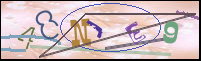 Imagen de Registro