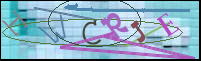 Imagen de Registro