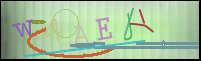 Imagen de Registro