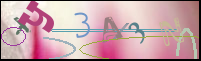 Imagen de Registro