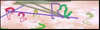 Imagen de Registro