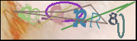 Imagen de Registro