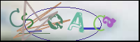 Imagen de Registro