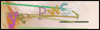 Imagen de Registro