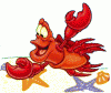CaNgReJoS