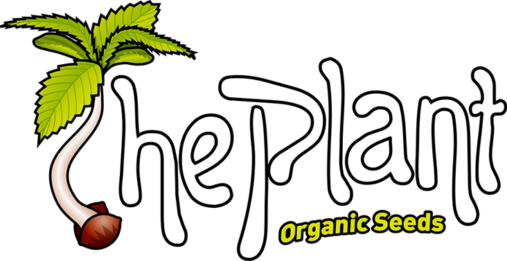 The-Plant-MARCA-BLANCA